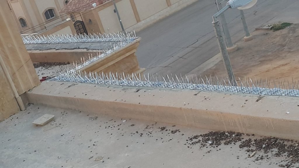 شركة كافحة الحمام بالرياض